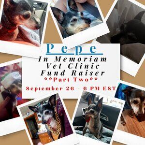 PART TWO - 09/26/24 - Pepe - In Memoriam - Vet Clinic Fund Raising Show
